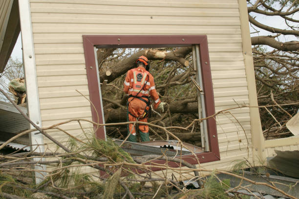 Tree and Shrub Care in Medford, MN